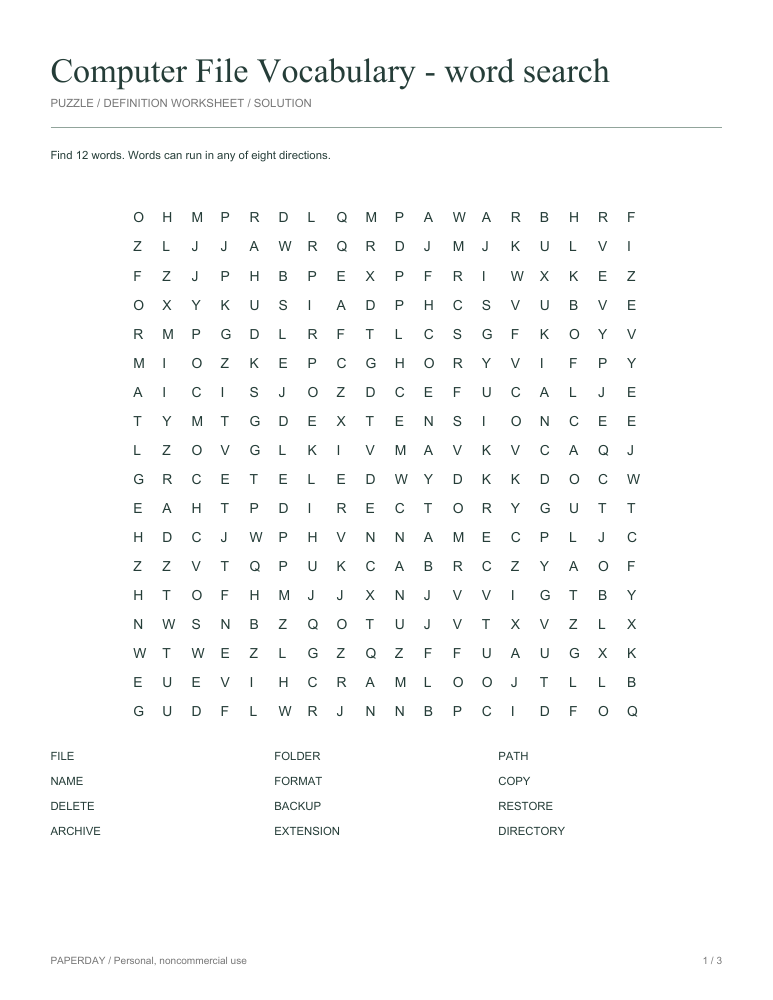 Preview of Computer File Vocabulary Word Search