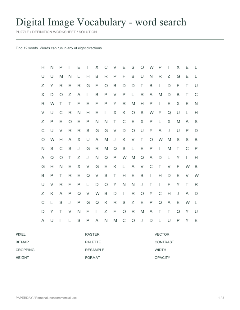 Preview of Digital Image Vocabulary Word Search
